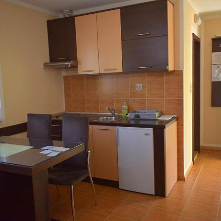 Apartmani Radoicic Josanicka Banja Exterior photo