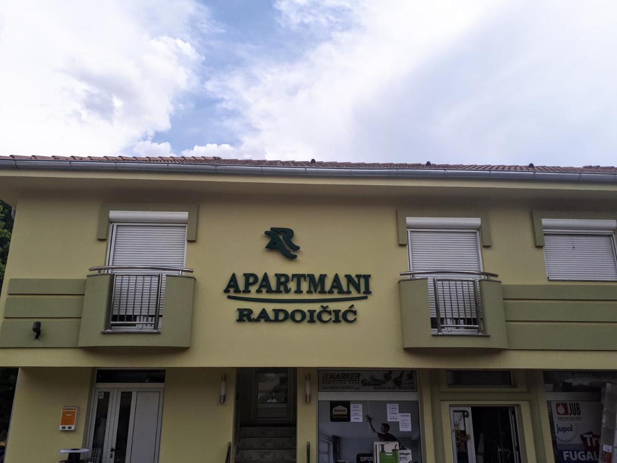 Apartmani Radoicic Josanicka Banja Exterior photo