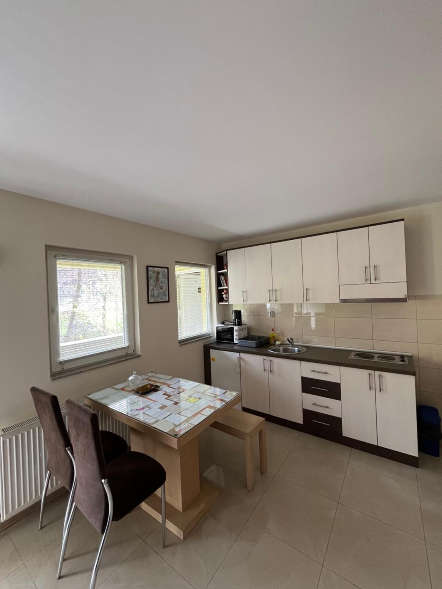 Apartmani Radoicic Josanicka Banja Exterior photo